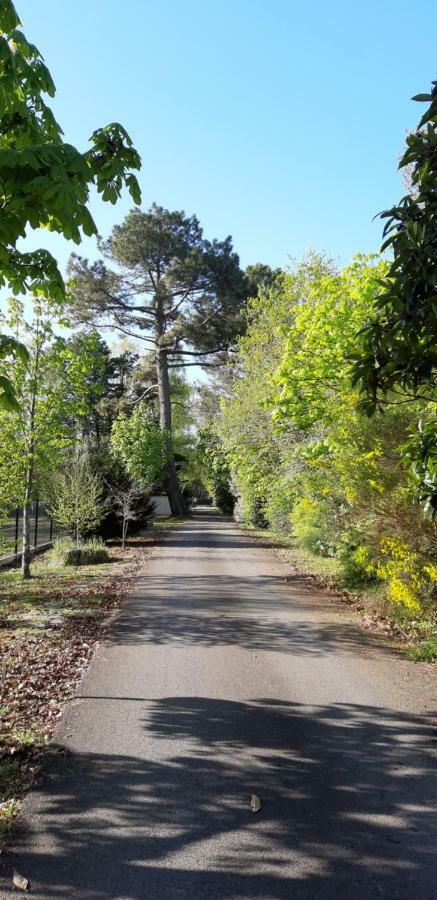 Hotel Le Domaine D'Azae Gujan-Mestras Zewnętrze zdjęcie